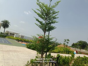  Plot – Exterior View View at Sohna - for Sale