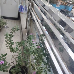 Balcony in 3 BHK Builder Floor at Rohini Sector 17 – for Sale