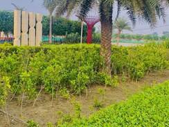 Plot For Sale in Wing Lucknow Greens Plots