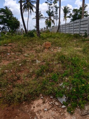  Plot For Sale in Abbigere