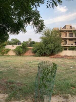  Plot – Exterior View View at Sushant Lok 2, Sector 57 - for Sale