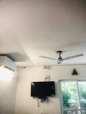 Furnished Amenities in 3 BHK Builder Floor at BPTP Elite Floors, Sector 83 – for Rent