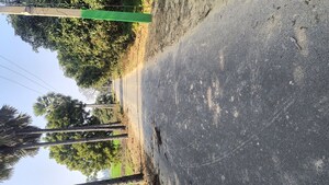 Plot Area in  Independent House at Kanpur Road – for Sale