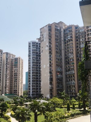 3 BHK Apartment – Exterior View View at Amrapali Pan Oasis, Sector 70 - for Rent