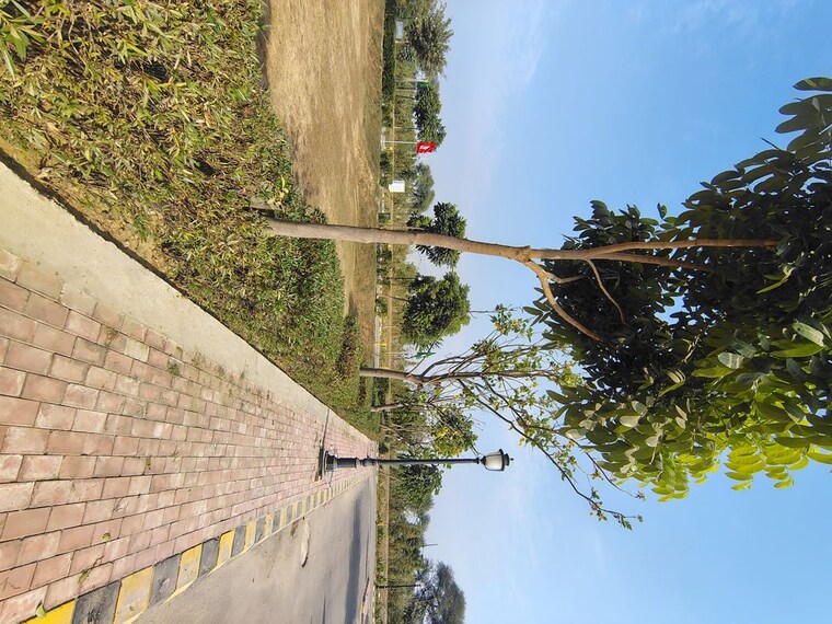 undefined, omaxe-city-omaxe-heights Commercial Land 1020 Sq.Ft. In Sector 97 Faridabad 10661297