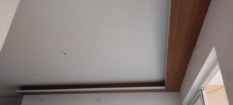 2 BHK Apartment For Rent in GM Global Techies Town in Electronic City Phase I, Bangalore