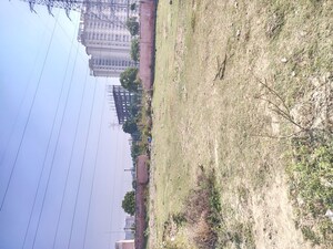  Plot at Sector 75 – for Sale