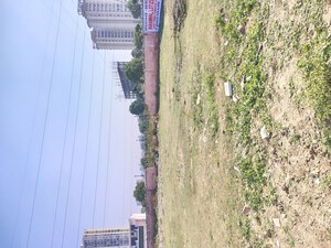 Plot Area in  Plot at Sector 75 – for Sale