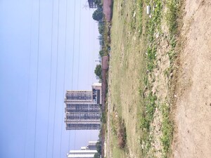 Plot Area in  Plot at Sector 75 – for Sale