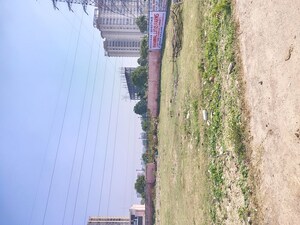 Plot Area in  Plot at Sector 75 – for Sale