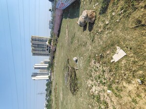 Plot Area in  Plot at Sector 75 – for Sale