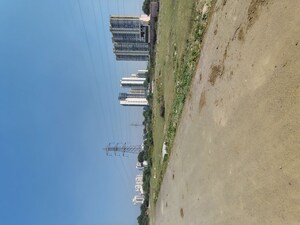 Plot Area in  Plot at Sector 75 – for Sale