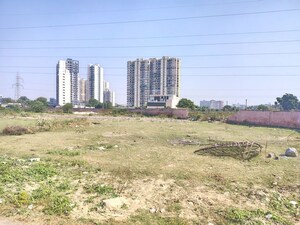  Plot For Sale in Sector 75