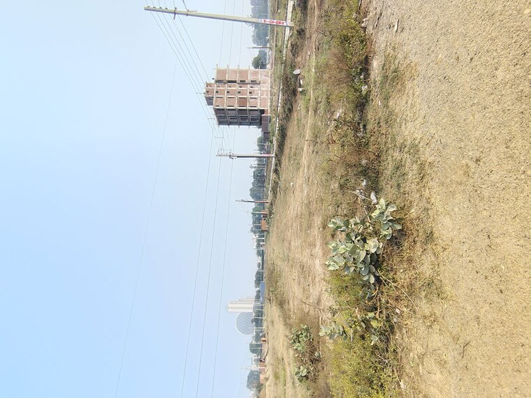 undefined, omaxe city 1  1350 Sq.Ft. Plot In Omaxe City 1 Palwal 10661343