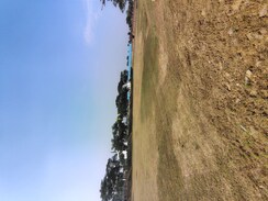 Plot For Sale in Omaxe City 1