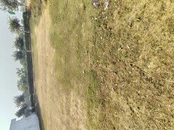 Land For Sale in Signature Global City of Colours