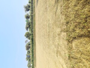 Plot Area in  Land at Signature Global City of Colours, Nh 8 – for Sale