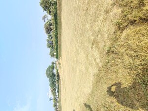 Plot Area in  Land at Signature Global City of Colours, Nh 8 – for Sale