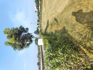 Plot Area in  Land at Signature Global City of Colours, Nh 8 – for Sale