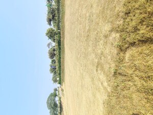 Plot Area in  Land at Signature Global City of Colours, Nh 8 – for Sale