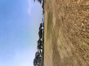  Plot For Sale in Omaxe City 1