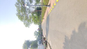   Plot at Omaxe City 1 – for Sale