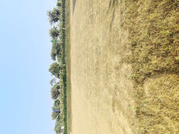 undefined, signature-global-city-of-colours Commercial Land 46 Sq.Yd. In Nh 8 Gurgaon 10661390