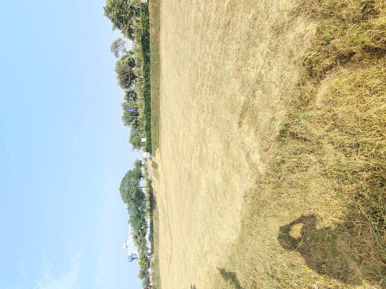undefined, signature-global-city-of-colours Commercial Land 46 Sq.Yd. In Nh 8 Gurgaon 10661390