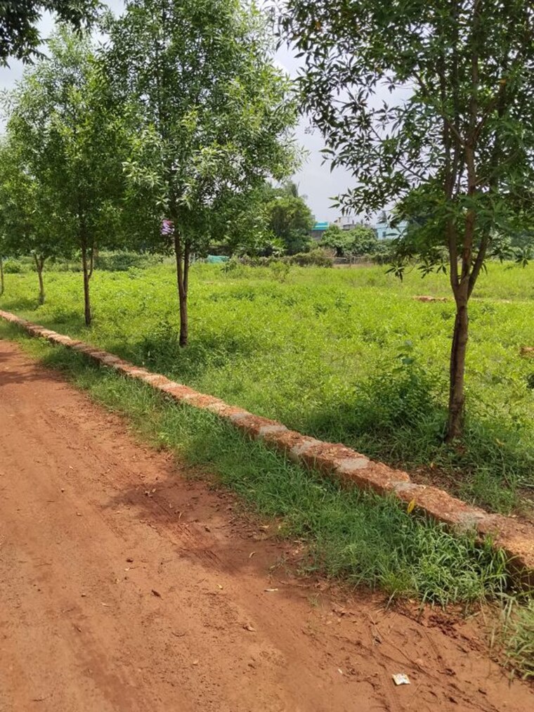 undefined, lakheswar-and-east-college-project  1500 Sq.Ft. Plot In Phulnakhara Bhubaneswar 10661392