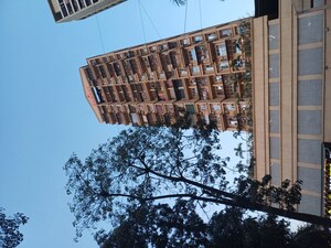 1 BHK Apartment For Rent in Welkin Mannat, Ghansoli