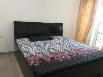 3.5 BHK +  1560 Sq.Ft. Apartment in Gaur City 6th Avenue