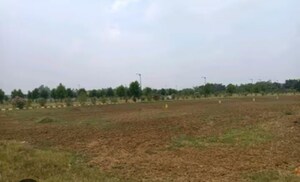 Plot Area in  Plot at Sector 84 – for Sale