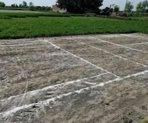  Plot For Sale in Sector 84