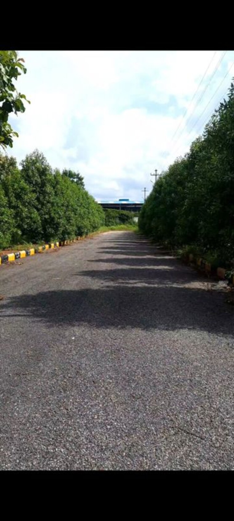 Garden, kamkole  160 Sq.Yd. Plot In Kamkole Hyderabad 10661751