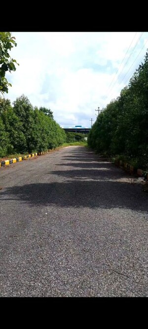  Plot – Garden View at Kamkole - for Sale
