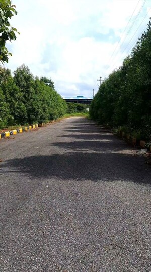  Plot – Garden View at Kamkole - for Sale