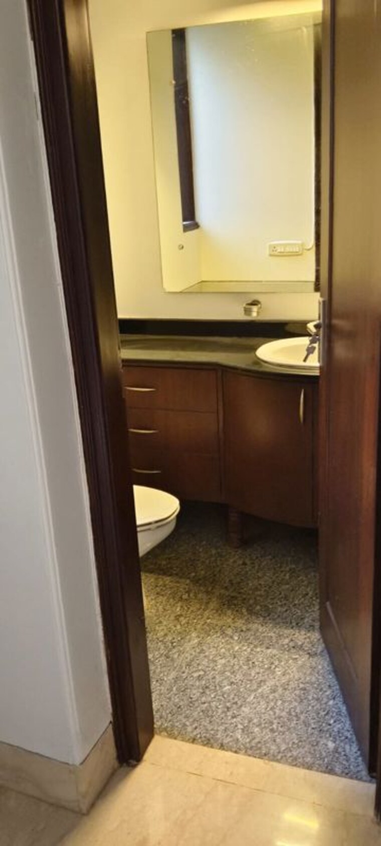 Bathroom, safdarjung enclave 4 Bedroom 300 Sq.Yd. Builder Floor In Safdarjung Enclave Delhi 10661838