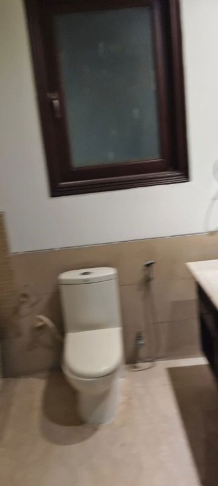 Bathroom, safdarjung enclave 4 Bedroom 300 Sq.Yd. Builder Floor In Safdarjung Enclave Delhi 10661838