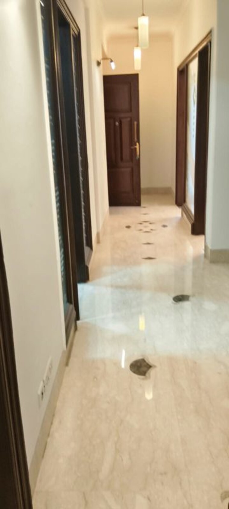 Living Room, safdarjung enclave 4 Bedroom 300 Sq.Yd. Builder Floor In Safdarjung Enclave Delhi 10661838