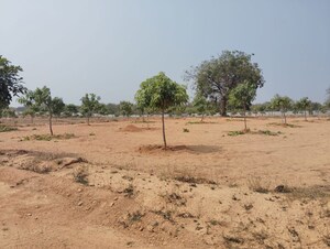  Plot For Sale in Fatheshapur