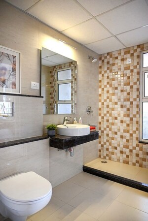 Attached Bathroom in 3 BHK Apartment at Bestech Park View Altura, Sector 79 – for Sale