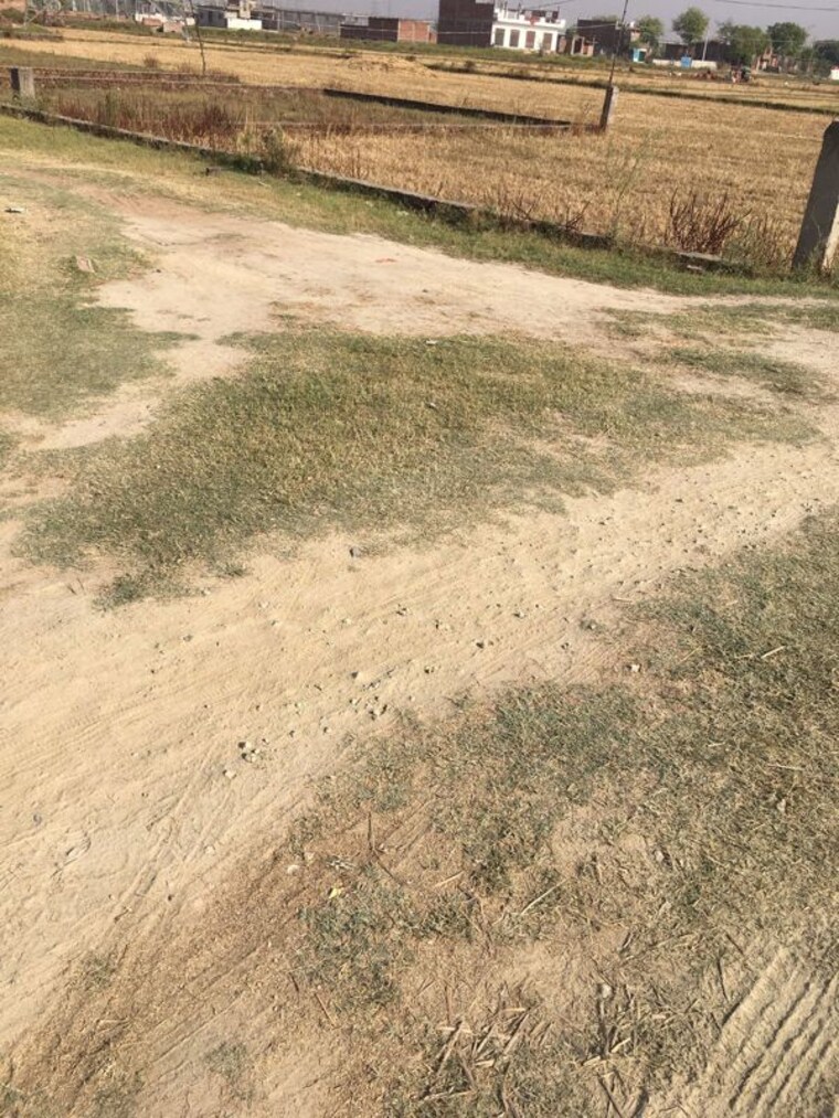 undefined, dwarika-dham  1100 Sq.Ft. Plot In Ramnagar Varanasi 10662154