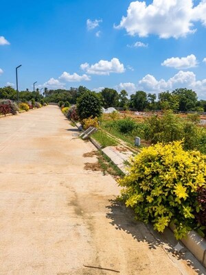  Plot – Garden View at Gauribidanur - for Sale
