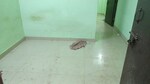 1 BHK +  350 Sq.Ft. Builder Floor in Vaishali Sector 3