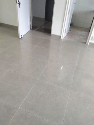 3 BHK Apartment For Rent in Emaar Emerald Floors Premier, Sector 65