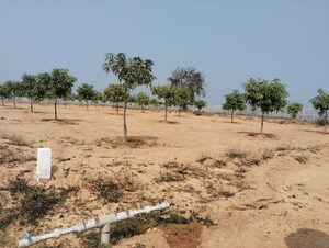  Plot For Sale in Masaipet