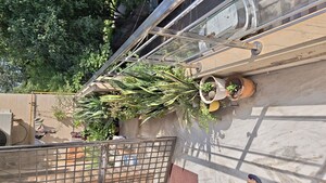 3 BHK Builder Floor – Exterior View View at Raj Nagar - for Sale