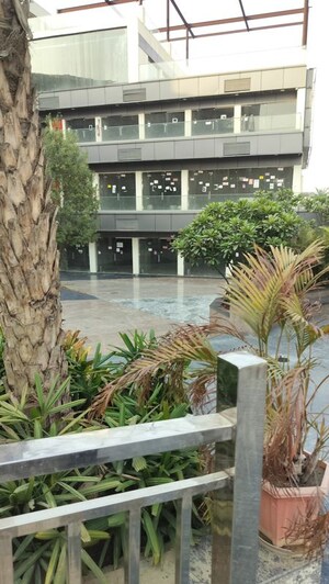  Shop For Sale in Rise Food Mall, Sector 1 Greater Noida