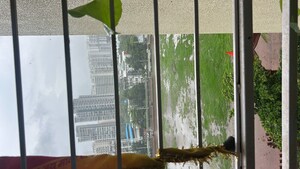 Swimming Pool in 2 BHK Apartment at Rameshwar Sadan CHS, Kamothe Sector 18 – for Sale