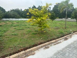 Plot Area in  Plot at Kechery – for Sale